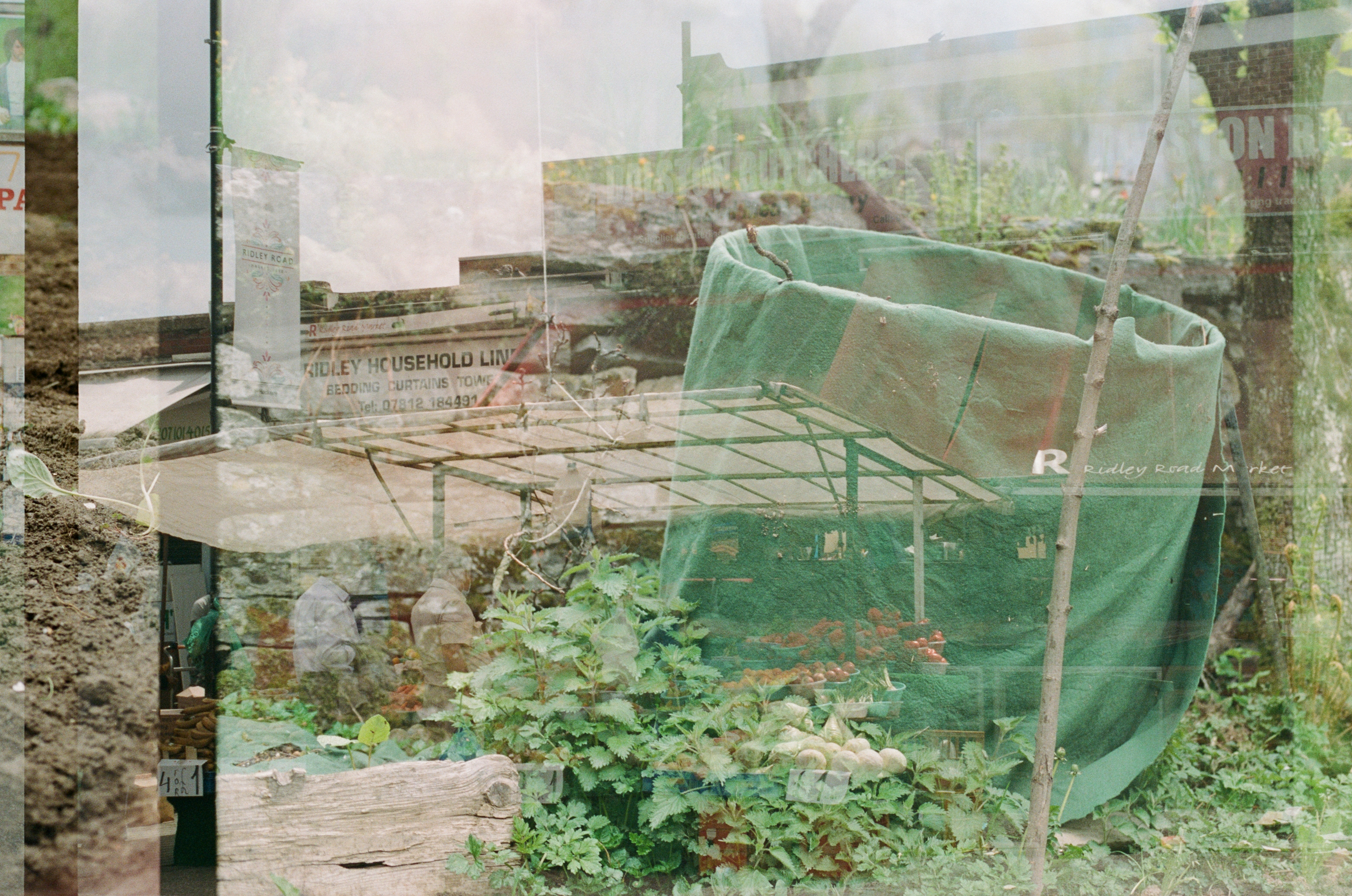 rituals of tenderness & cider (raum für ungewisses)