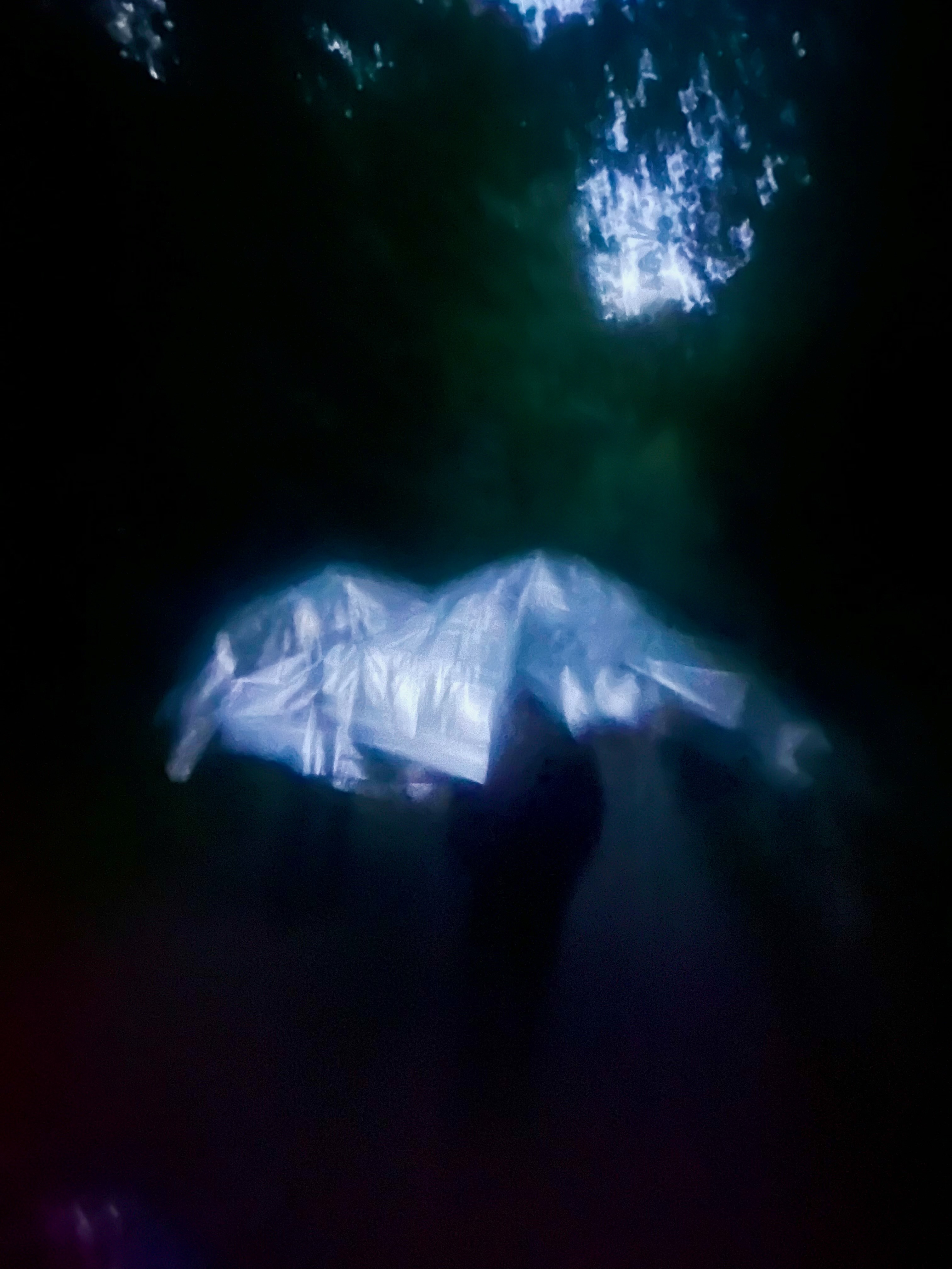 Rituals of tenderness *7: Walk Geborgenheits-Orte 2