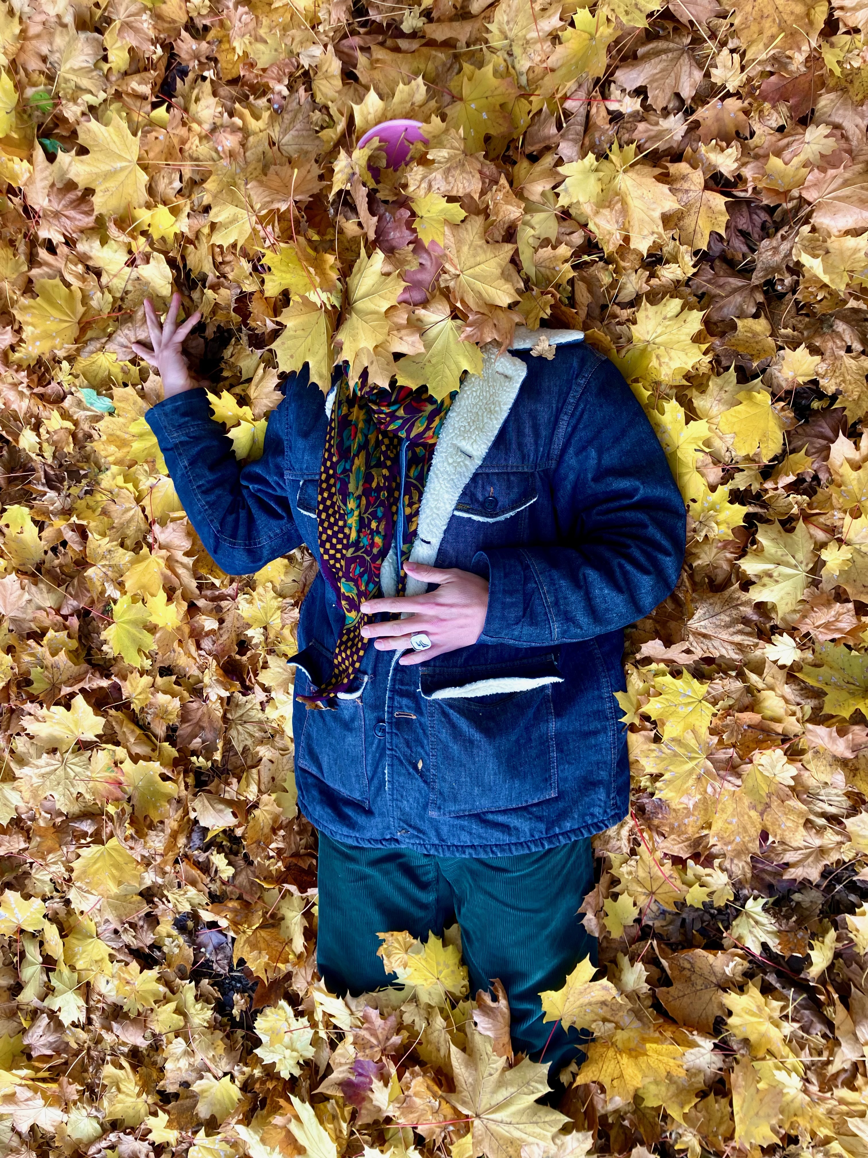 Rituals of tenderness *8: Laub / jardin d’automne